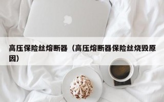 高压保险丝熔断器（高压熔断器保险丝烧毁原因）