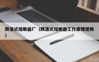 跌落式熔断器厂（跌落式熔断器工作原理视频）