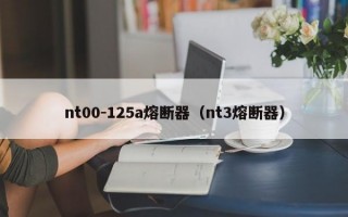 nt00-125a熔断器（nt3熔断器）