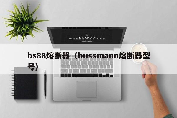 bs88熔断器（bussmann熔断器型号）-第1张图片-伟德BETVlCTOR1946 - 伟德BETVLCTOR1946唯一官网